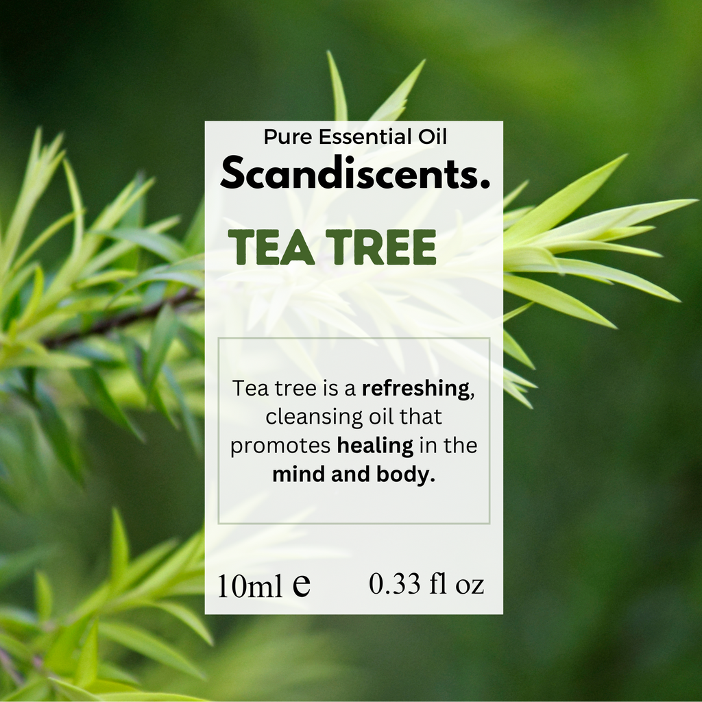 Tea tree oil — suitable for diffuser, skincare, and household use