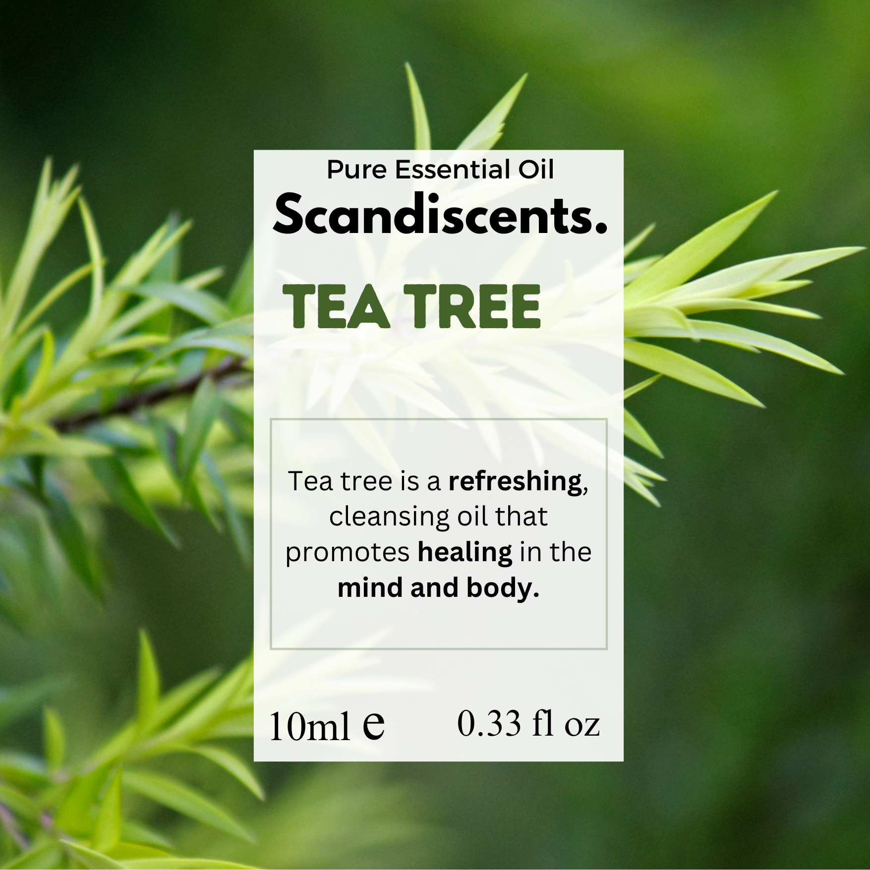 Tea tree oil — suitable for diffuser, skincare, and household use