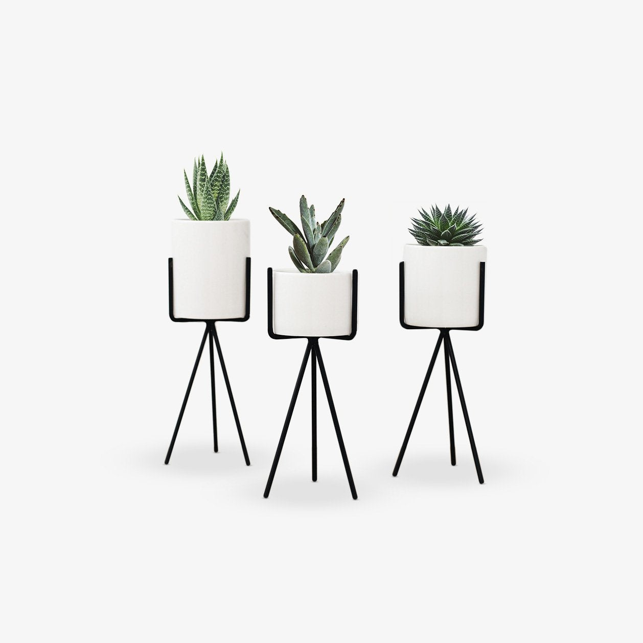 Copper Geometric Indoor Plant Stand — geometric metal tripod with plants