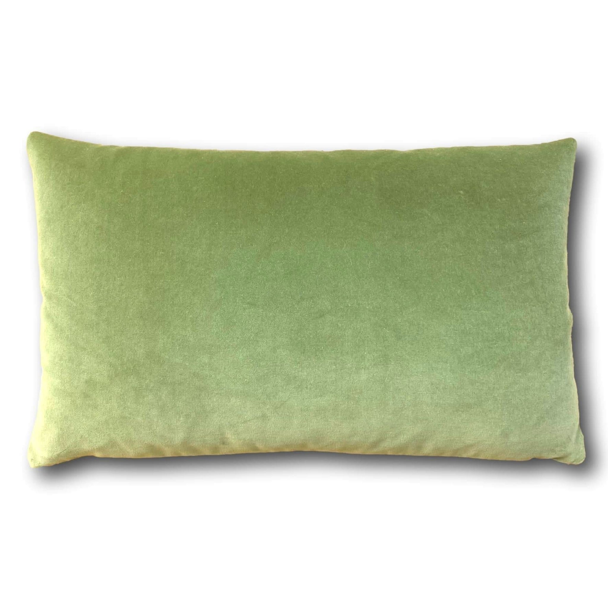 Velvet cushion on sofa